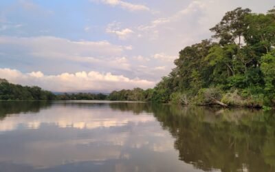 Guía Completa de Sierpe, Costa Rica: Botes, Tours a Corcovado y Bahía Drake